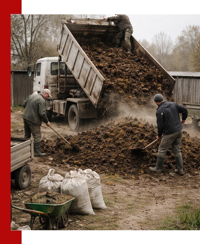 Доставка коровьего навоза самосвалом в Солнечногорске